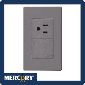 Toma + Interruptor Mercury Línea Plus Silver